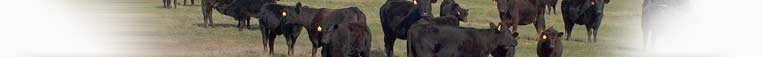 Agriculture Header
