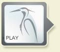 Play Shrimp Video