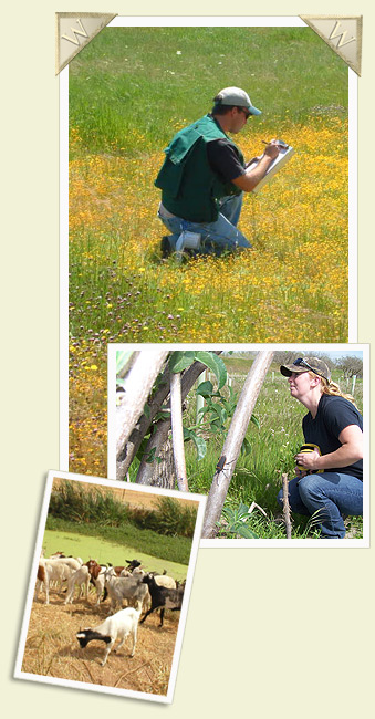 Stewardship Pictures