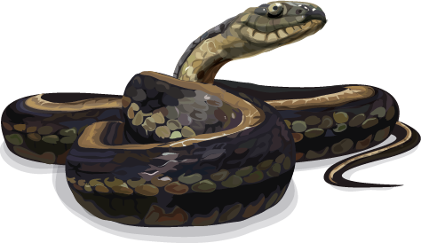 Giant Garter Snake