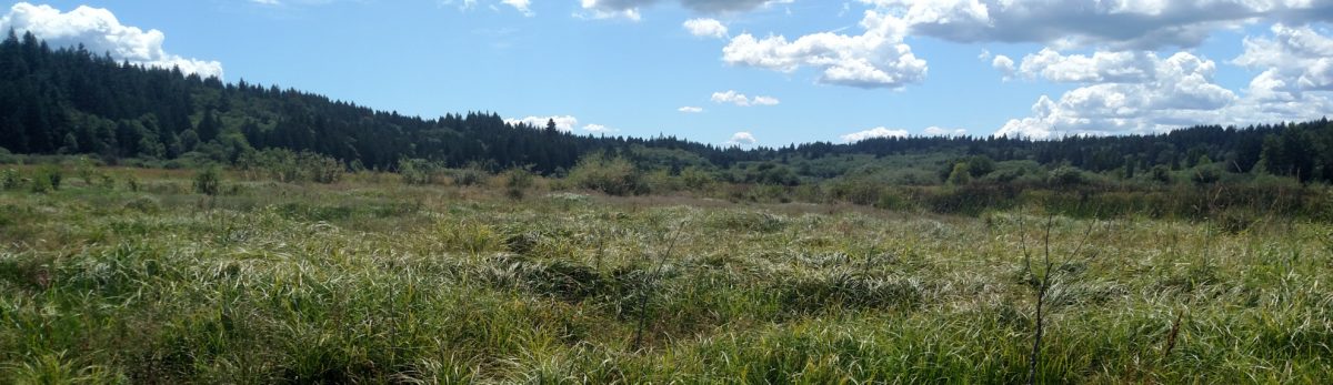 Blackjack Creek Mitigation Site