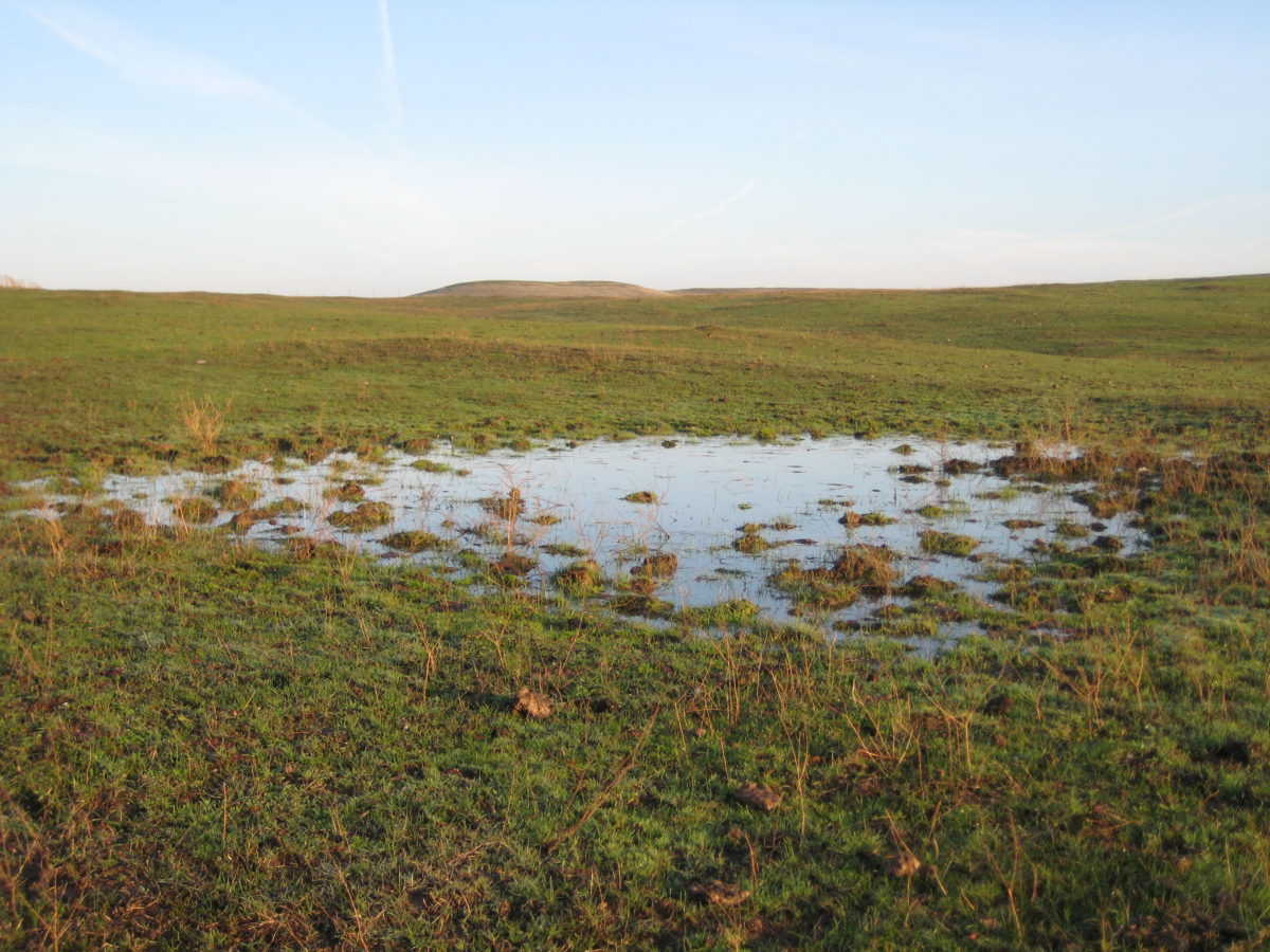 Deer Creek Mitigation Bank