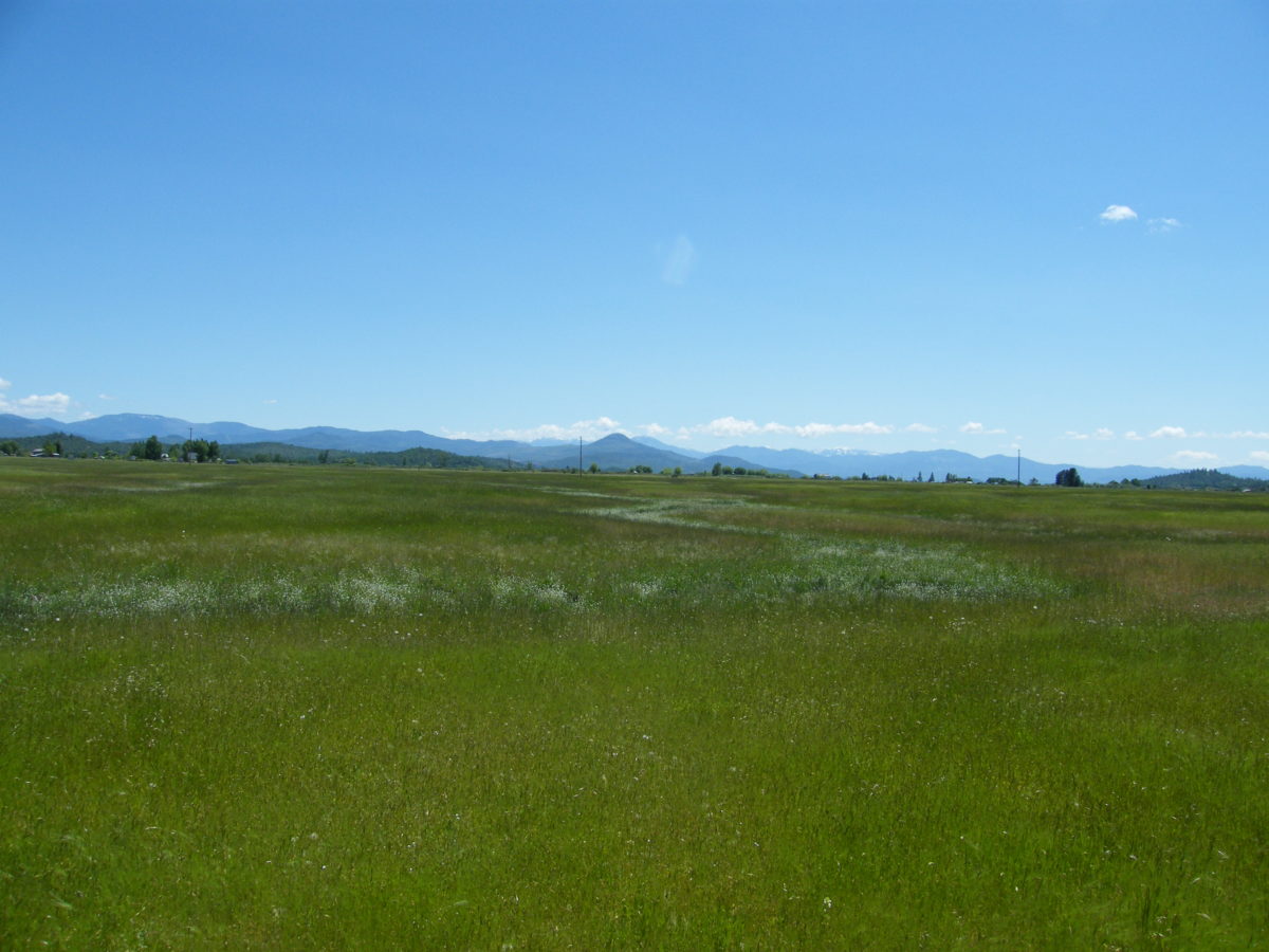 Rogue Valley Mitigation/Conservation Bank