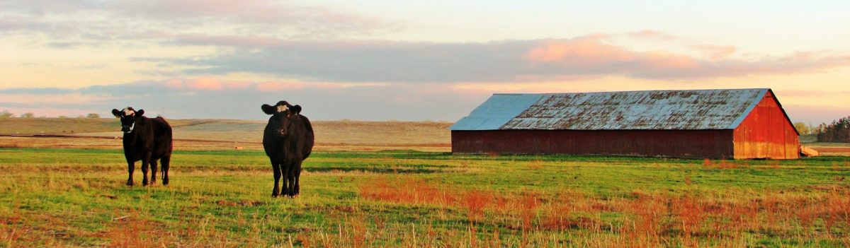 Rangeland Management Services